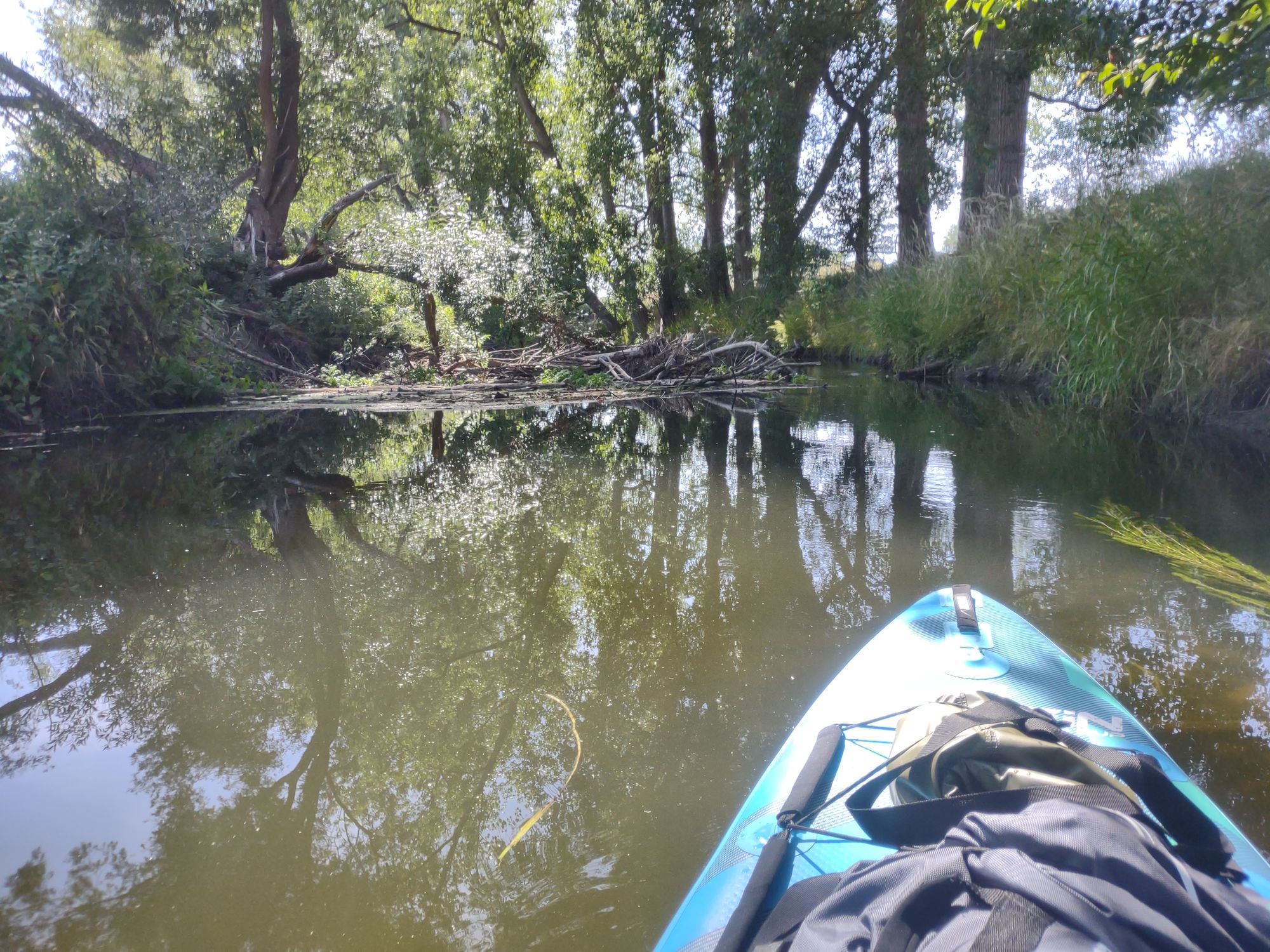 SUP-Tagestour: Braunschweig - Watenbüttel