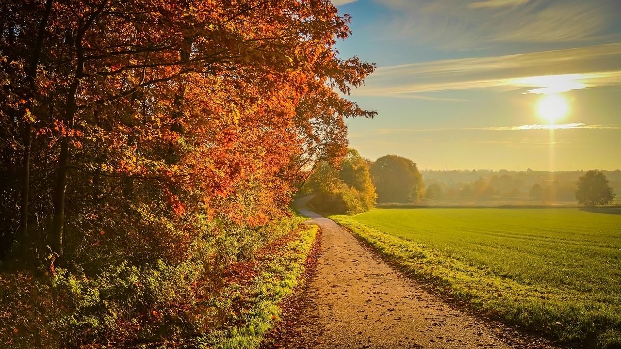 Passiver Cashflow September 2021