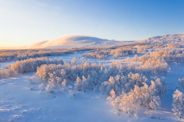 Passiver Cashflow Dezember 2019 und Jahresendbericht