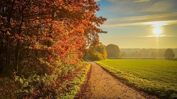 Passiver Cashflow September 2021
